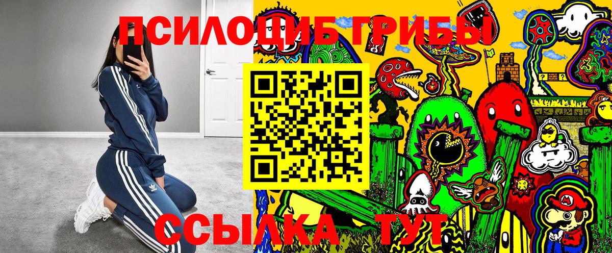 Псилоцибиновые грибы мицелий Новодвинск