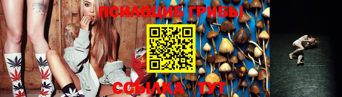 Псилоцибиновые грибы MAGIC MUSHROOMS  Вход с VPN  Новодвинск  Галлюциногенные грибы мицелий 